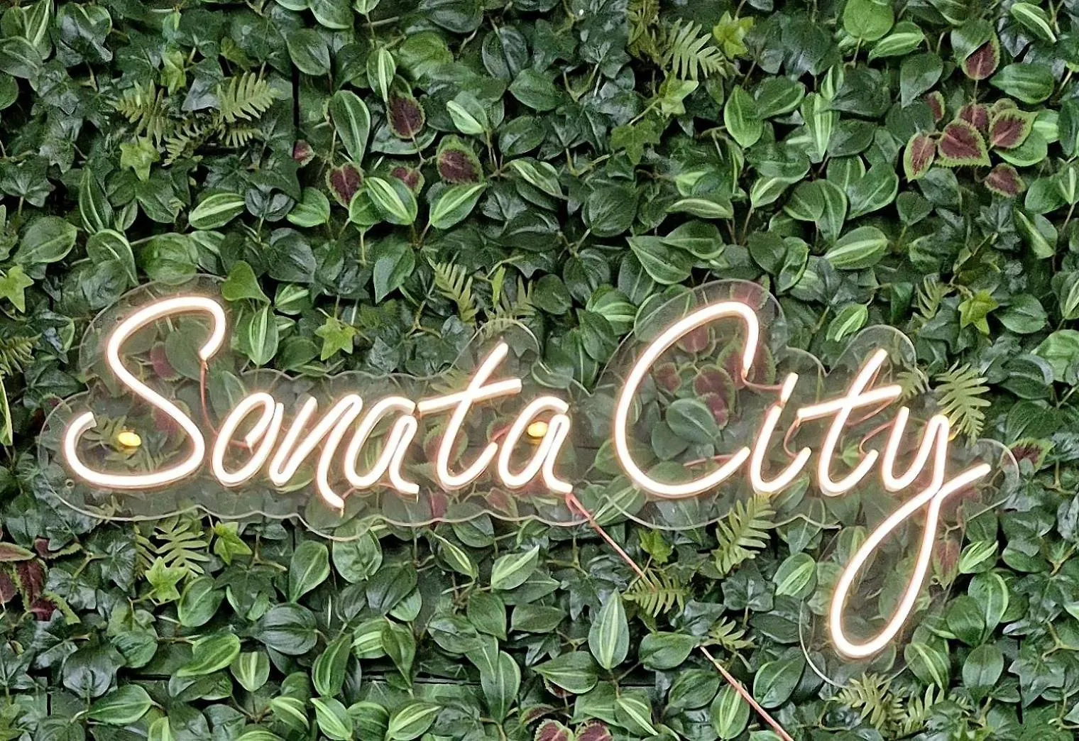 Sonata City Hotel Köln